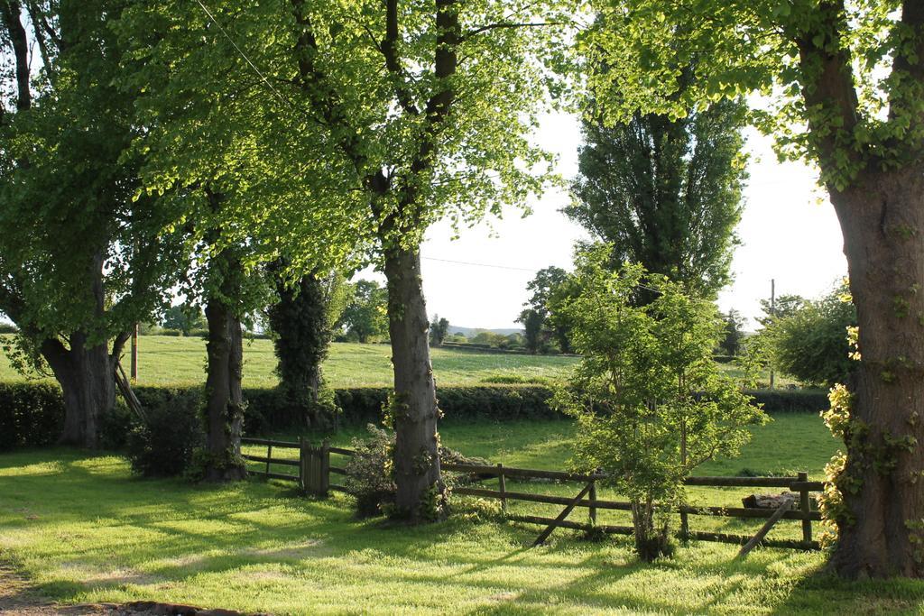 The Jockey Room Hideaway Spurstow Exterior photo